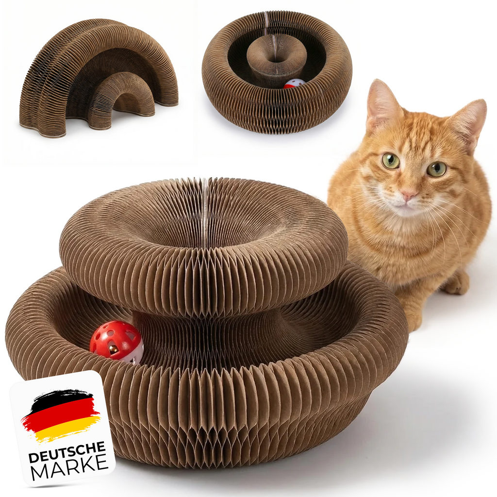 🎯 Interaktives Katzenspielzeug mit Ball & Kratzfläche 🐾