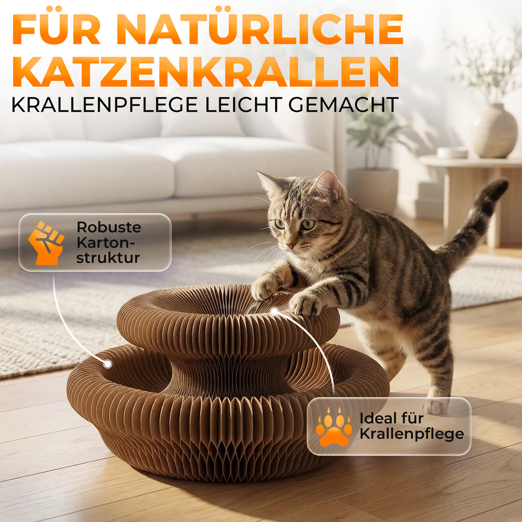 🎯 Interaktives Katzenspielzeug mit Ball & Kratzfläche 🐾