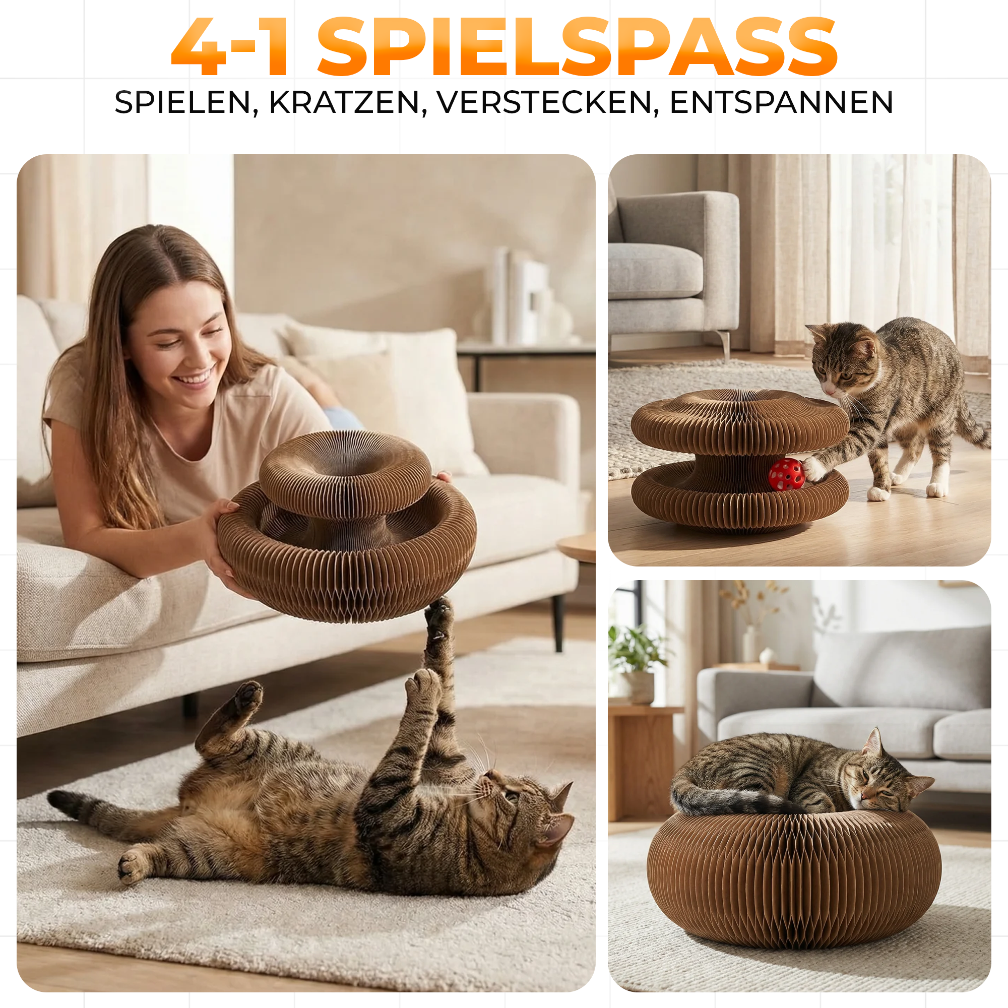 🎯 Interaktives Katzenspielzeug mit Ball & Kratzfläche 🐾