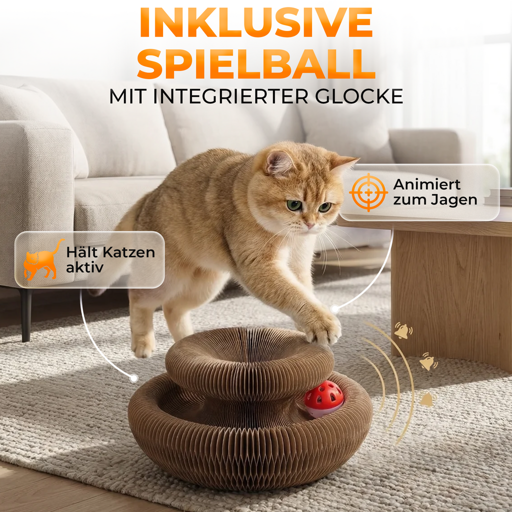 🎯 Interaktives Katzenspielzeug mit Ball & Kratzfläche 🐾