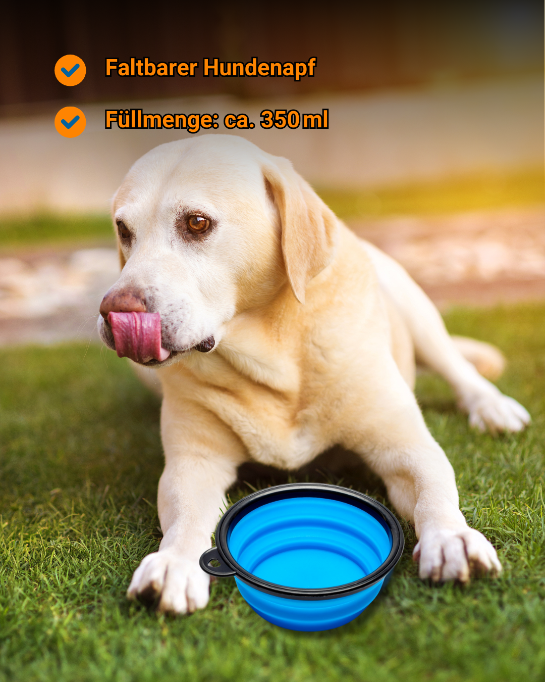 Faltbarer Hundenapf 350ml